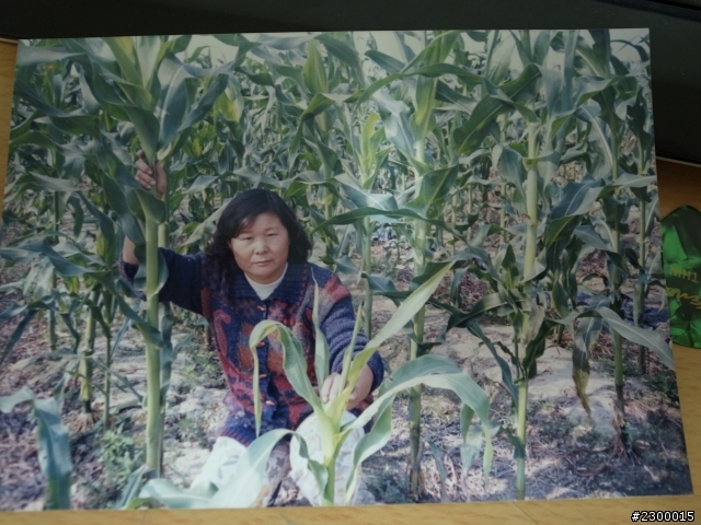 麻煩高手幫幫忙修片 (已解決,感謝各位