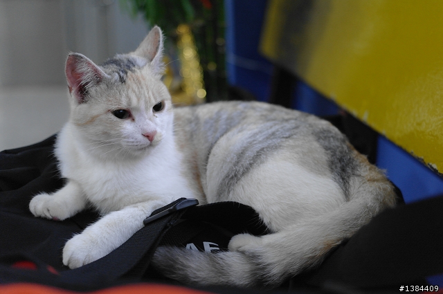 猴硐‧九份