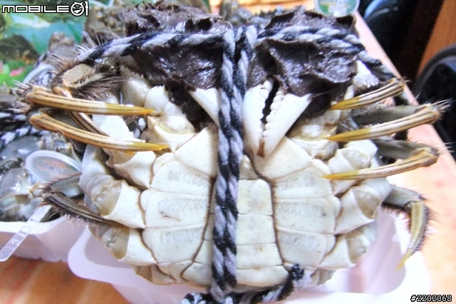 開箱: 今年度的大閘蟹