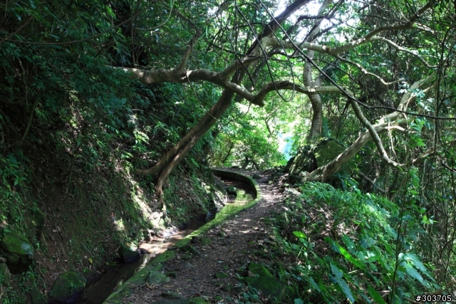 台北城夏日消暑去處--狗殷勤水圳古道