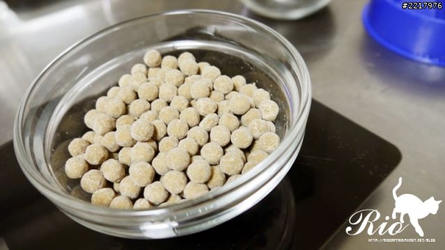 (食譜)Rio的自製珍珠奶茶!
