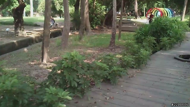 台南練跑場地  台南公園介紹