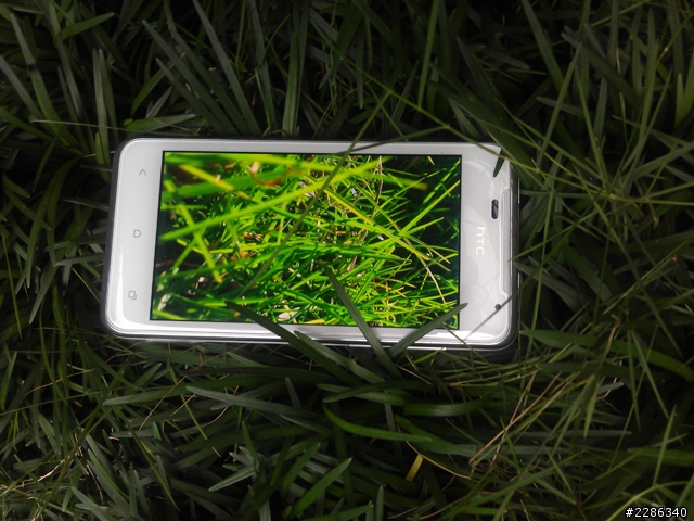 草地意外發現!(hTC J)....新增夜拍