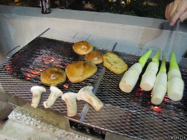 中秋烤肉也可以玩開箱-厚道張海賊團烤肉組