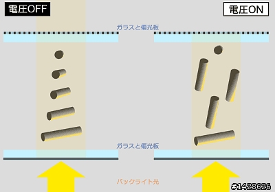"'液晶顯示器" 之 謎思大挑戰(挑個貴的，不如挑個對的)