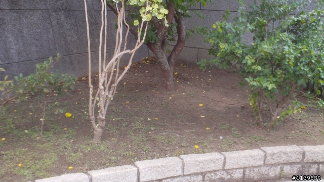 RYOBI割草機開箱