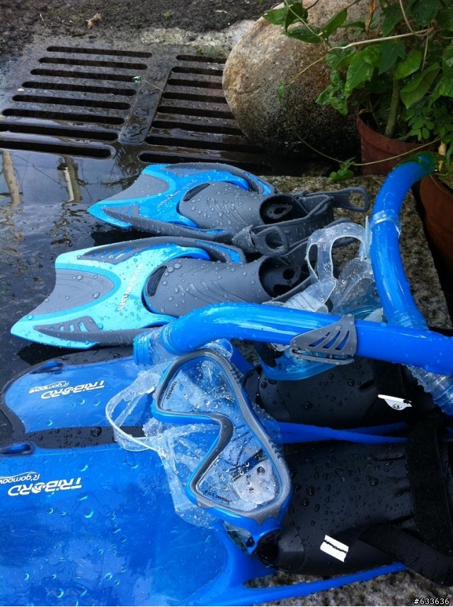 藍色小車大口吃新品種老鼠蛤