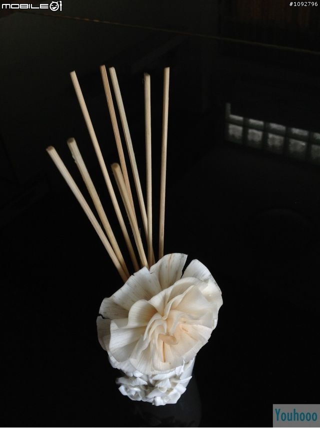 我是手機攝影愛好者