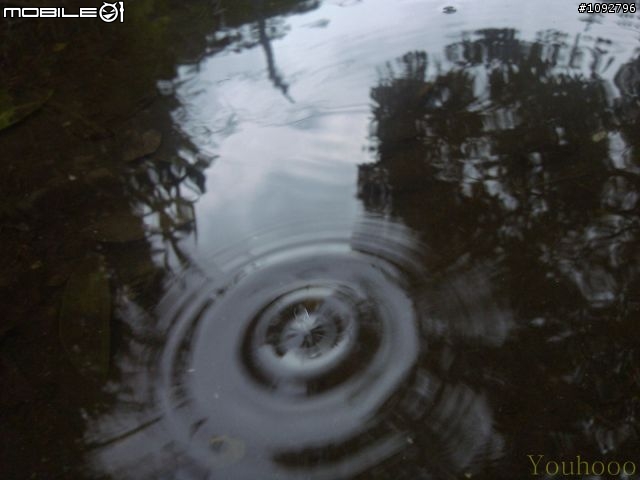 我是手機攝影愛好者