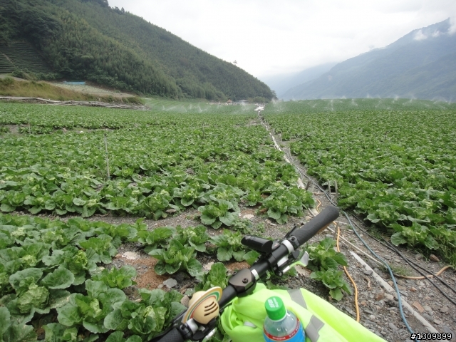小折挑戰台灣屋脊，2012中央山脈極致挑戰 ( 大三P完成， 全文畢 )