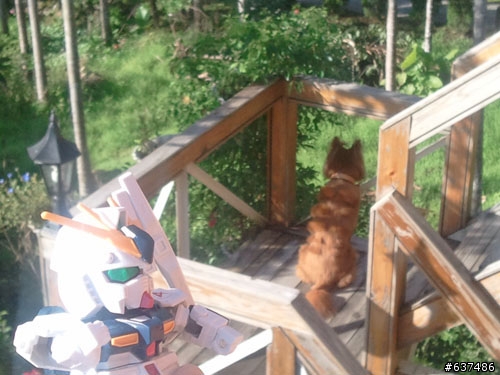 [(完整版)]--鋼彈菜籃車花東行，9/2~9/6五天四夜