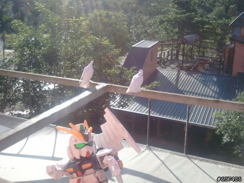 [(完整版)]--鋼彈菜籃車花東行，9/2~9/6五天四夜