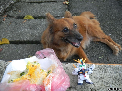 [(完整版)]--鋼彈菜籃車花東行，9/2~9/6五天四夜