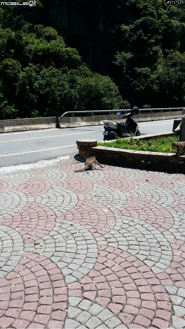 花東海岸的美景您怎能錯過呢?(S3手機照的)從台北搭太魯閣號火車到花蓮後，租機車遊花東縱谷海洋2天1夜之旅