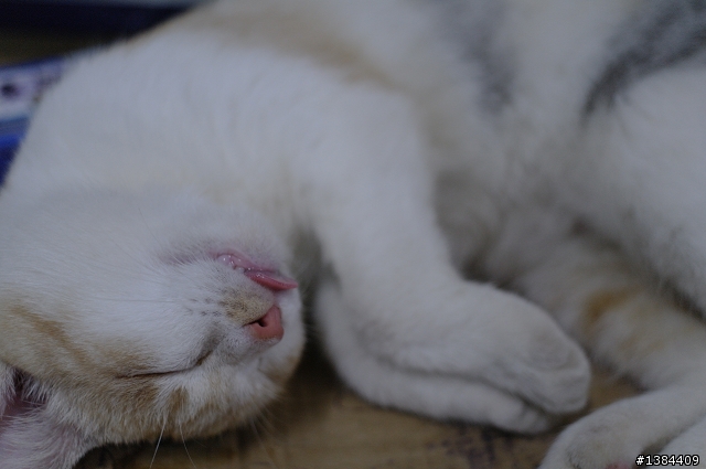 猴硐‧九份