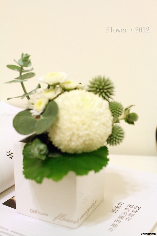 [分享] 室內小花新選擇