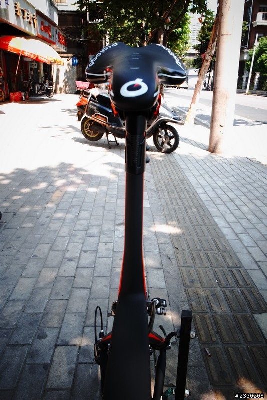 大陸品牌 TRIACE 車隊版碳纖公路車