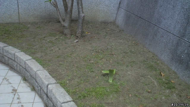 RYOBI割草機開箱