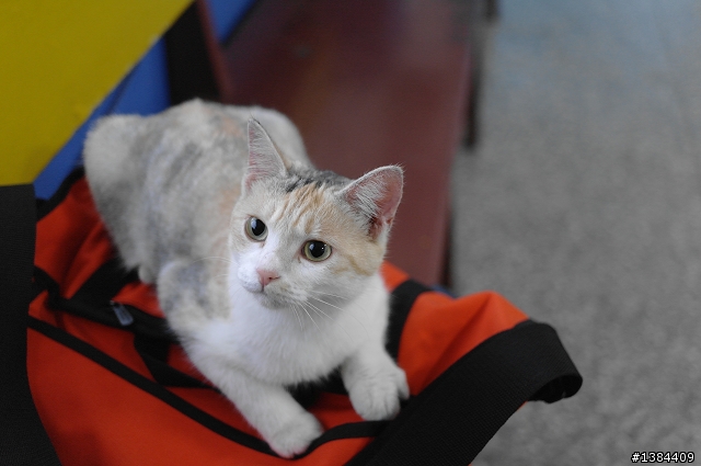 猴硐‧九份