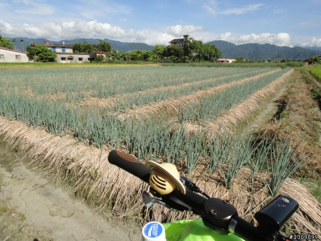 小折挑戰台灣屋脊，2012中央山脈極致挑戰 ( 大三P完成， 全文畢 )