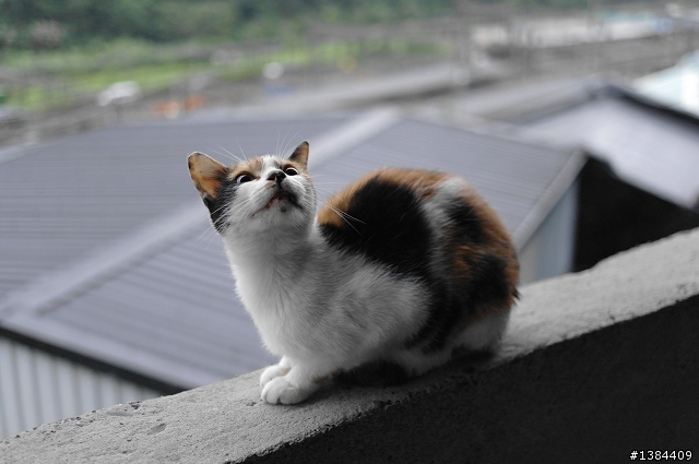 猴硐‧九份