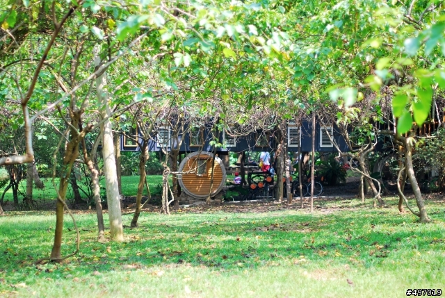 果香 . 果鄉 ... 幸福農莊 * 嘉義民雄 . 金桔農莊觀光工廠