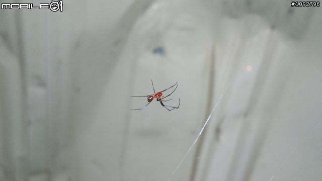 我是手機攝影愛好者