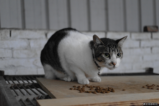 猴硐‧九份