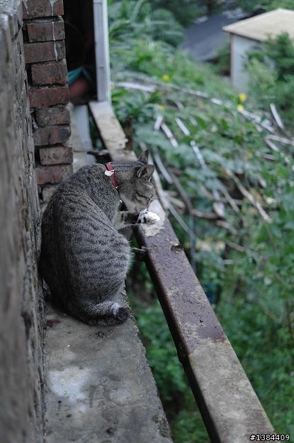 猴硐‧九份