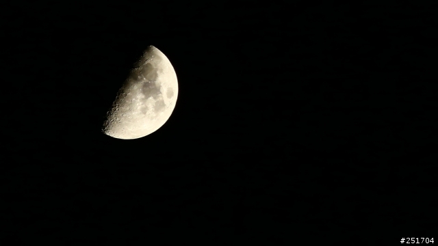 [開箱] TAMRON 70-300mm VC (A005) 09/23 更新照片