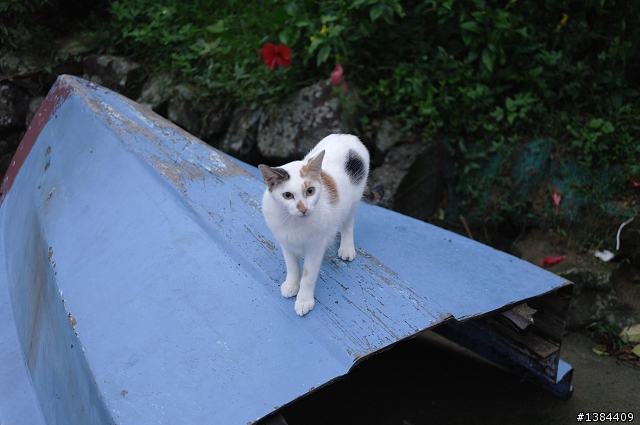 猴硐‧九份