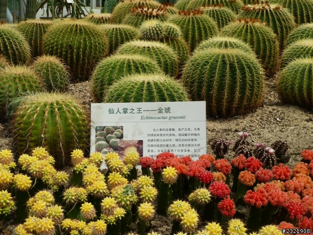 廈門幾天遊分享
