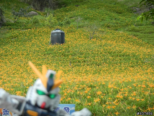 [(完整版)]--鋼彈菜籃車花東行，9/2~9/6五天四夜