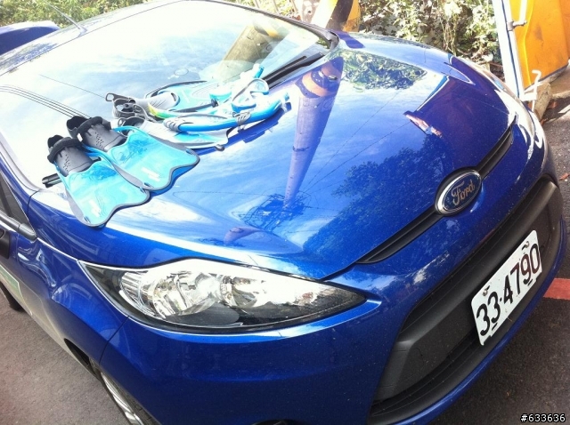 藍色小車大口吃新品種老鼠蛤