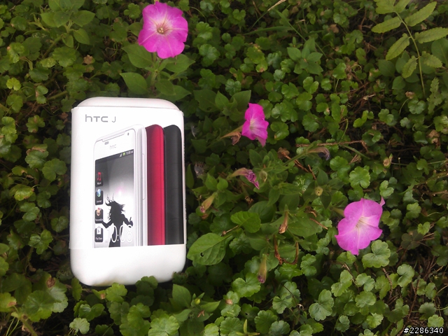 草地意外發現!(hTC J)....新增夜拍