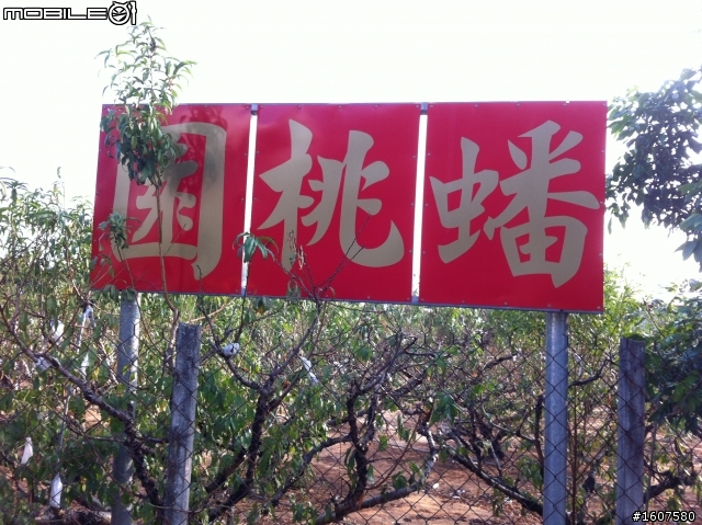 2012第三屆環化賽全記錄【美利達中山車隊】