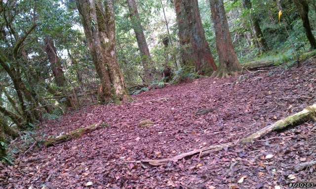 加羅湖 20121028