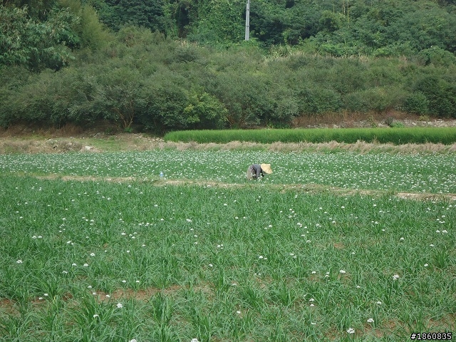 2012.10.18九月雪&石門水庫慢遊