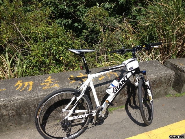 2013 巨人尺寸 GIANT TALON 入荷