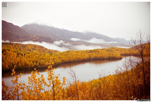 2012.秋.阿拉斯加