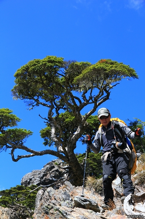 武陵四秀之池有山品田山(圖多)