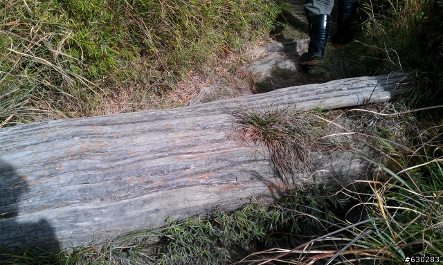 加羅湖 20121028