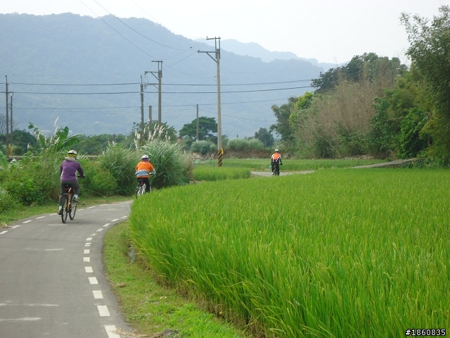 2012.10.18九月雪&石門水庫慢遊