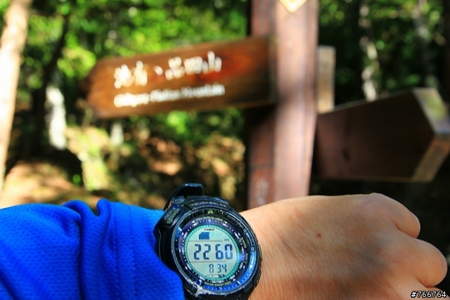 武陵四秀之池有山品田山(圖多)