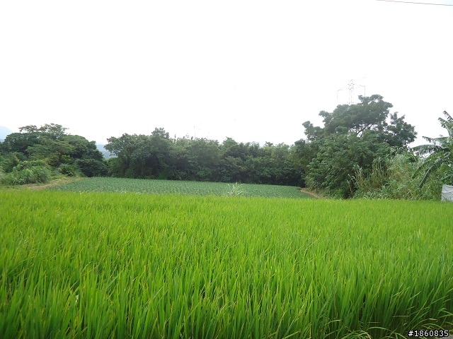2012.10.18九月雪&石門水庫慢遊