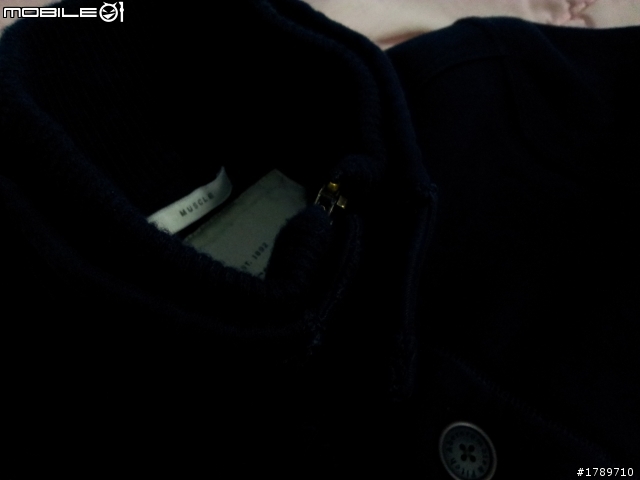 [簡單分享]秋天的好朋友Abercrombie & Fitch Sawteeth Mountain Sweatshirt(新增傷眼實穿圖)
