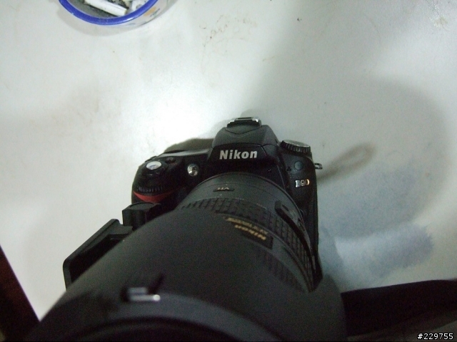 D800/E有人入塵 對焦不準嗎 現D600大家都在慘叫中 問題一大堆 暈倒