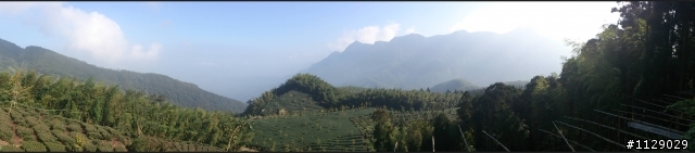 xperia TX 之 溪頭遊(圖多傷眼...)補上720P錄影