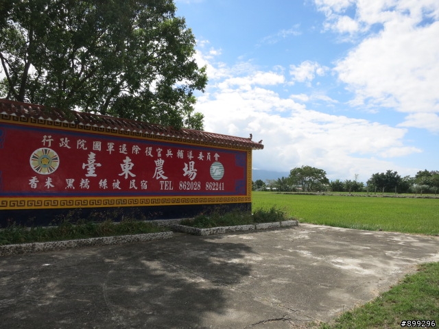 [油耗實測二部曲] 小蝸達成一桶油環島至國境之南未亮燈是為20K/L