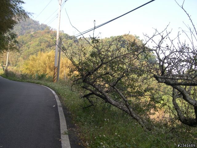 1024苗栗鷂婆山看老鷹〈上〉